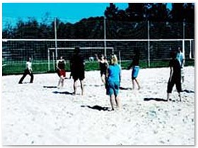 Volejbal